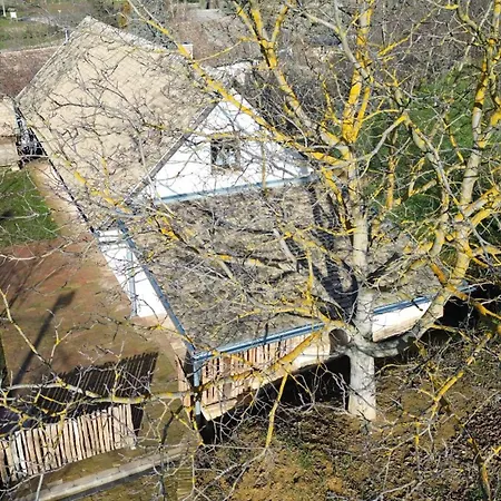 Rigli Vendeghaz * Závod