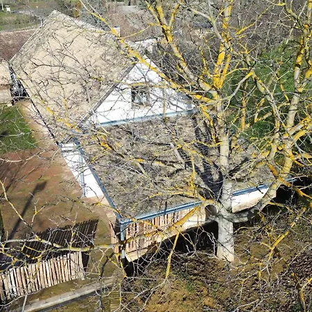 Rigli Vendeghaz * Zavod
