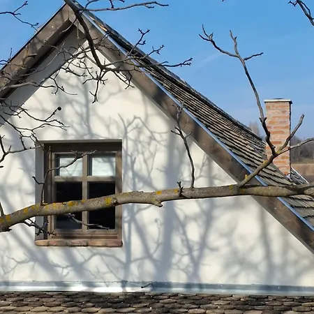 Rigli Vendeghaz Apartmán *